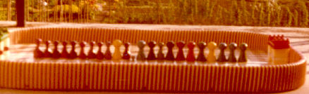 Lila und Bunt im stadion